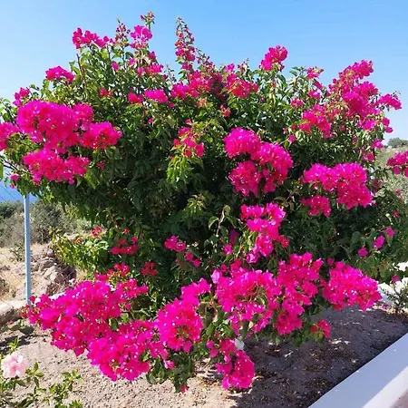 «astrofeggia» A Private Stone House Nature-seaview