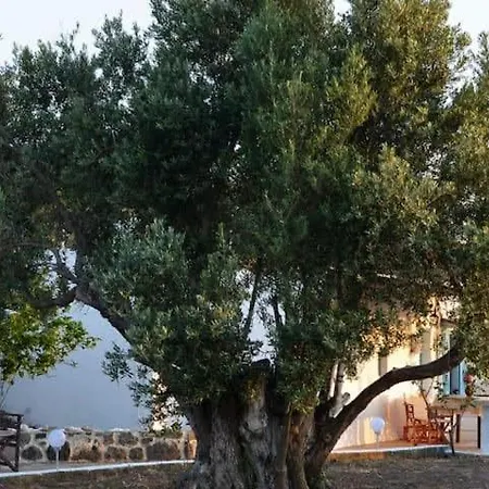 度假居 «astrofeggia» A Private Stone House Nature-seaview Mandrákion