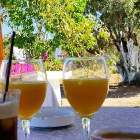 «astrofeggia» A Private Stone House Nature-seaview 度假居