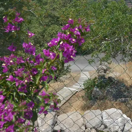 «astrofeggia» A Private Stone House Nature-seaview Mandrákion