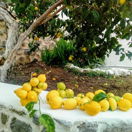 בית נופש «astrofeggia» A Private Stone House Nature-seaview