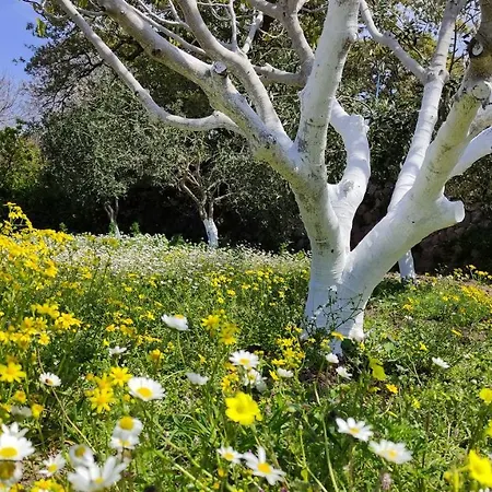 «astrofeggia» A Private Stone House Nature-seaview בית נופש Mandrákion