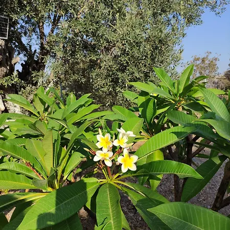 «astrofeggia» A Private Stone House Nature-seaview בית נופש Mandrákion