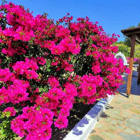 Casa vacanze «astrofeggia» A Private Stone House Nature-seaview