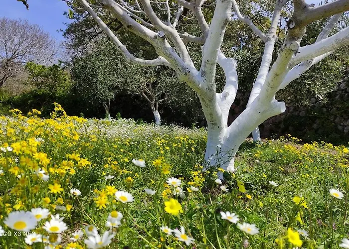«astrofeggia» A Private Stone House Nature-seaview Tatil Evi Mandrákion