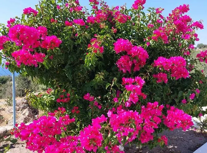 «astrofeggia» A Private Stone House Nature-seaview