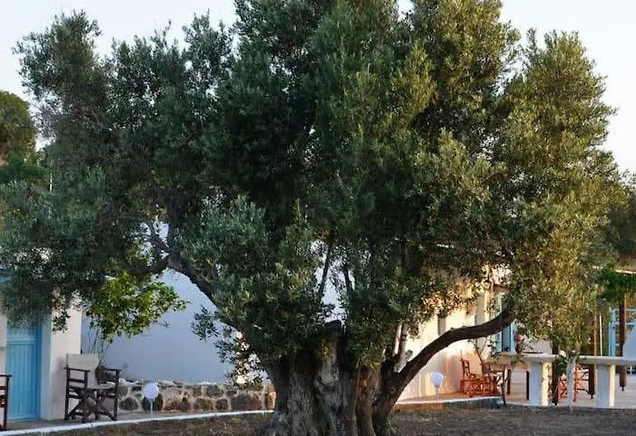 Tatil Evi «astrofeggia» A Private Stone House Nature-seaview Mandrákion