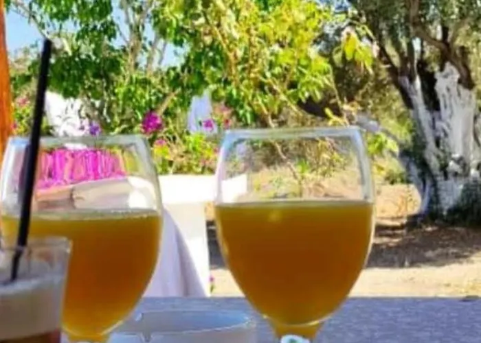 «astrofeggia» A Private Stone House Nature-seaview Tatil Evi