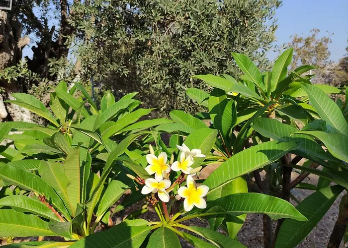 «astrofeggia» A Private Stone House Nature-seaview Tatil Evi Mandrákion