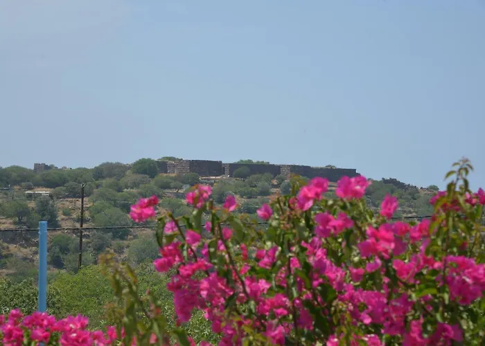 «astrofeggia» A Private Stone House Nature-seaview